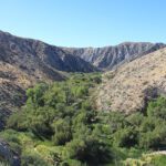 Morongo Valley Scenic