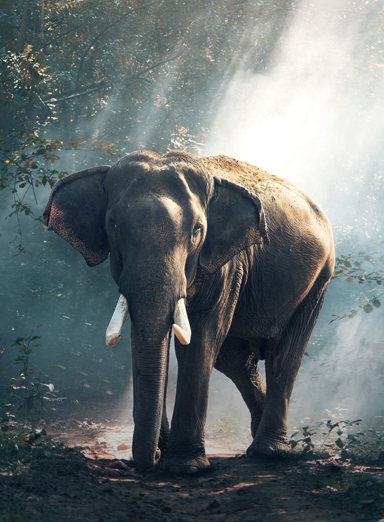 Portfolio 04 Free Img