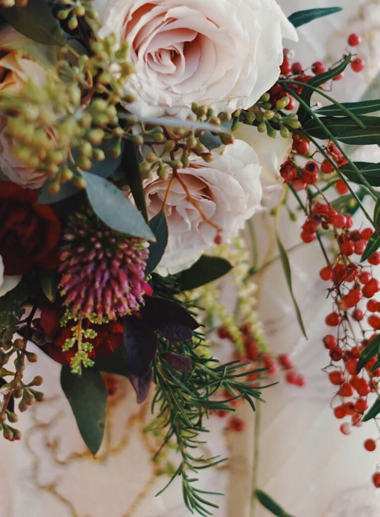 Portfolio 12 Free Img